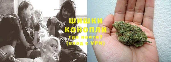 трава Вязьма