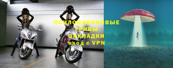 прущая мука Вязники