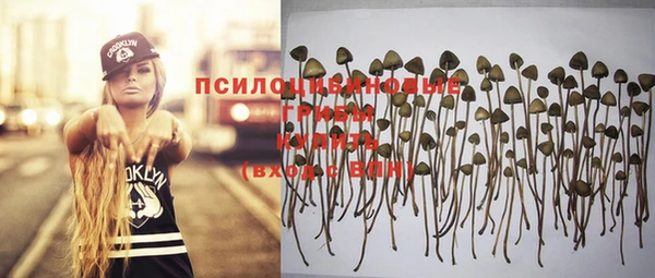 прущий лед Волосово